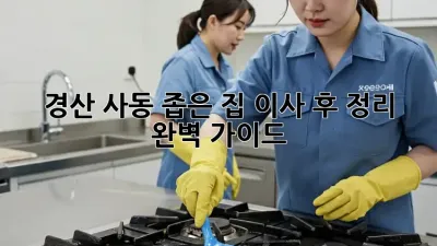 경산 사동 좁은 집 이사 후 정리 완벽 가이드